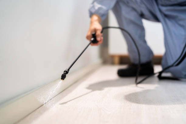 Licensed Termite Control service in Flushing, MI - Nex Pest Control