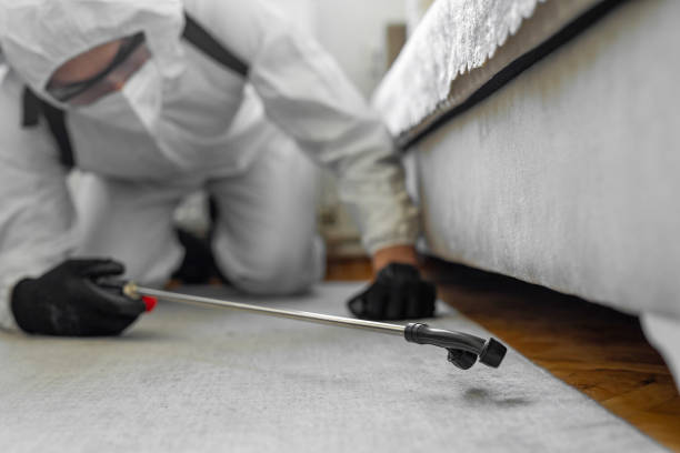Professional Termite Control technician working in Flushing, MI