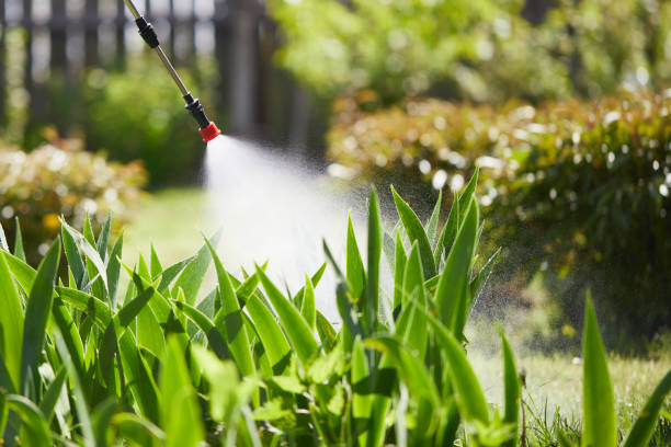 24/7 Emergency Termite Control experts in Flushing, MI