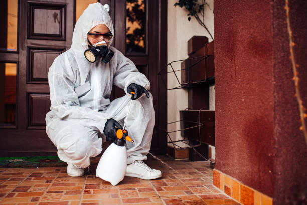 Reliable Termite Control contractor in Flushing, MI by Nex Pest Control