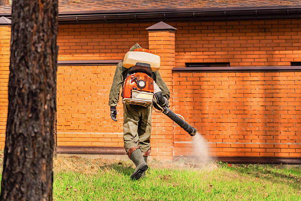 Top rated local Termite Control specialists in Flushing, MI